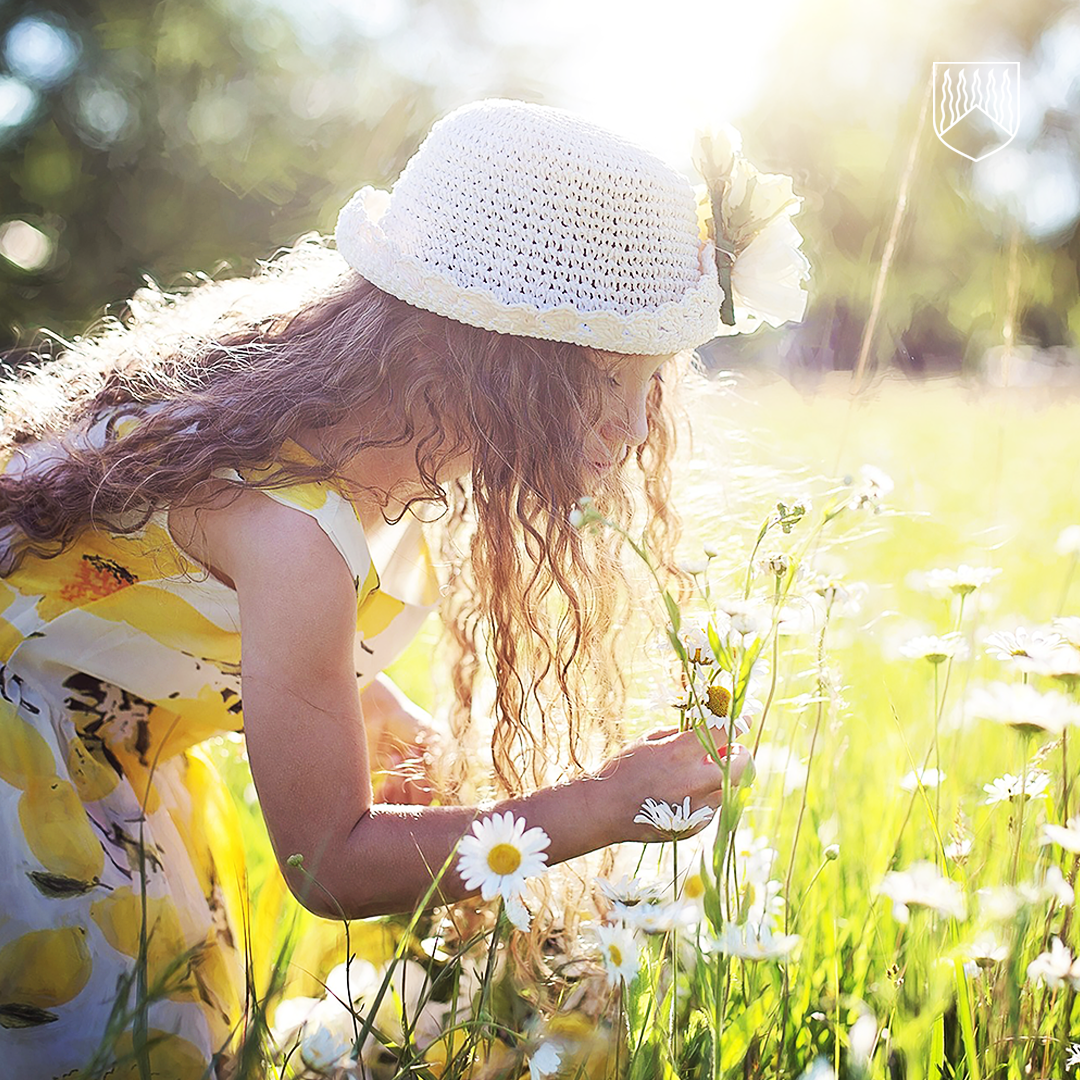 Kuvassa päiväkakkarapellolla pitkä hiuksinen tyttö poimimassa kukkia kukkaisessa mekossa ja valkoinen kesälakki päässään.