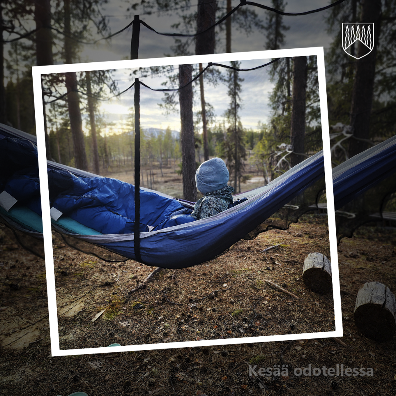 Kuvassa poika metsässä riippukeinussa.