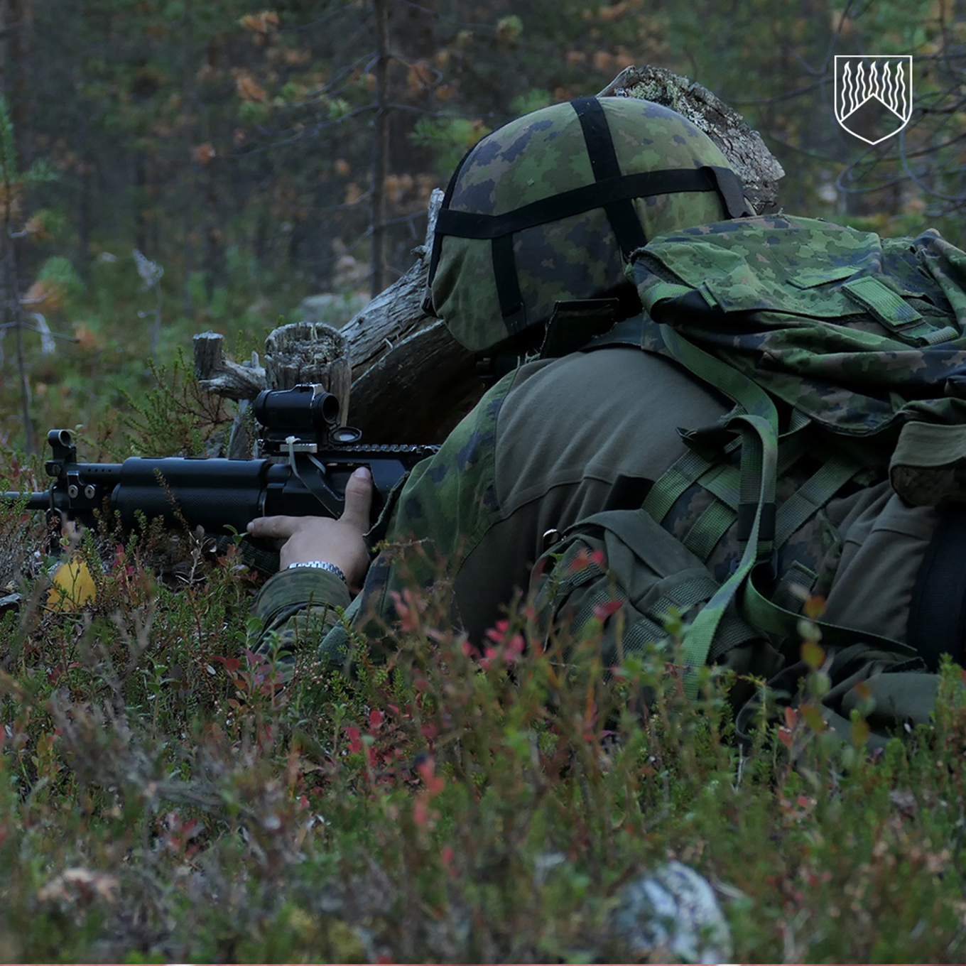 Kuvassa sotilas maastoutuneena metsään.