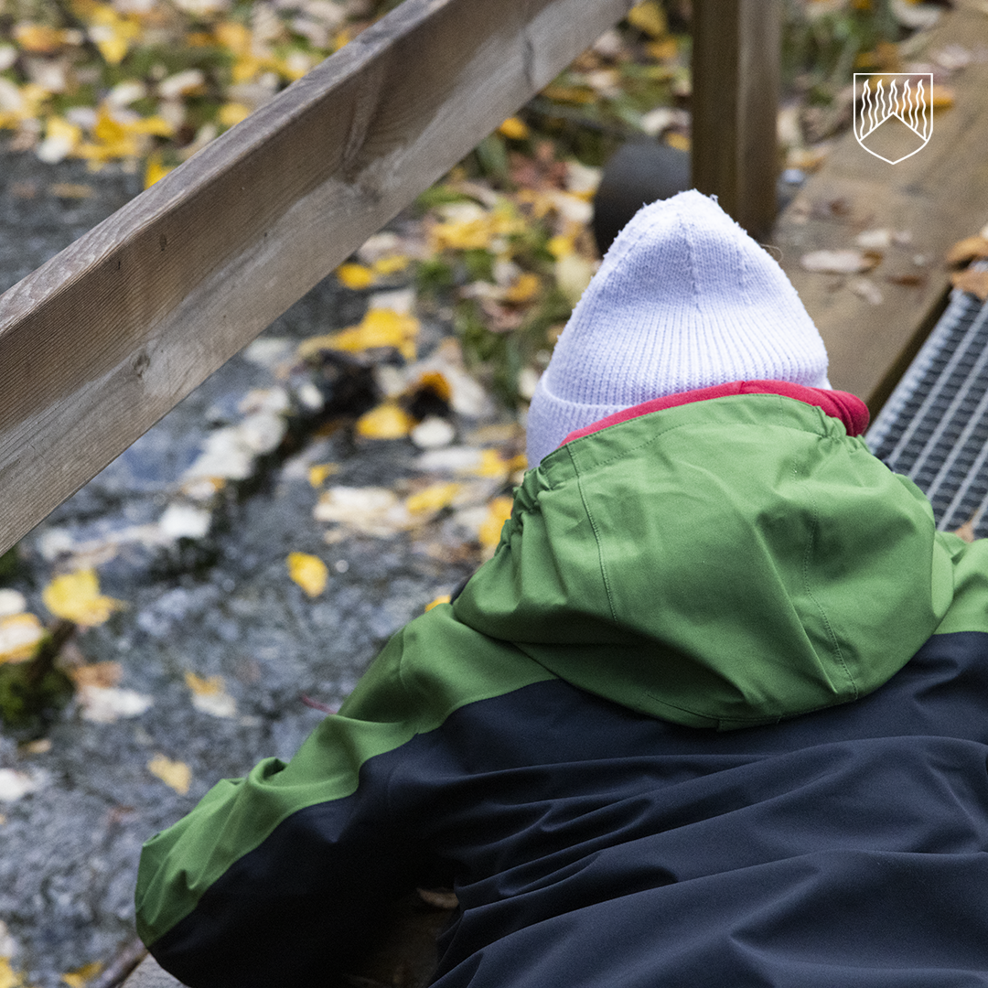 Lapsi vihreässä ulkoilutakissa ja vaaleassa pipossa kumartuu tarkastelemaan puroa puusillalta. Vedessä ja rannan ympärillä näkyy keltaisia syksyn lehtiä, jotka tuovat kuvaan ruskan tunnelmaa.