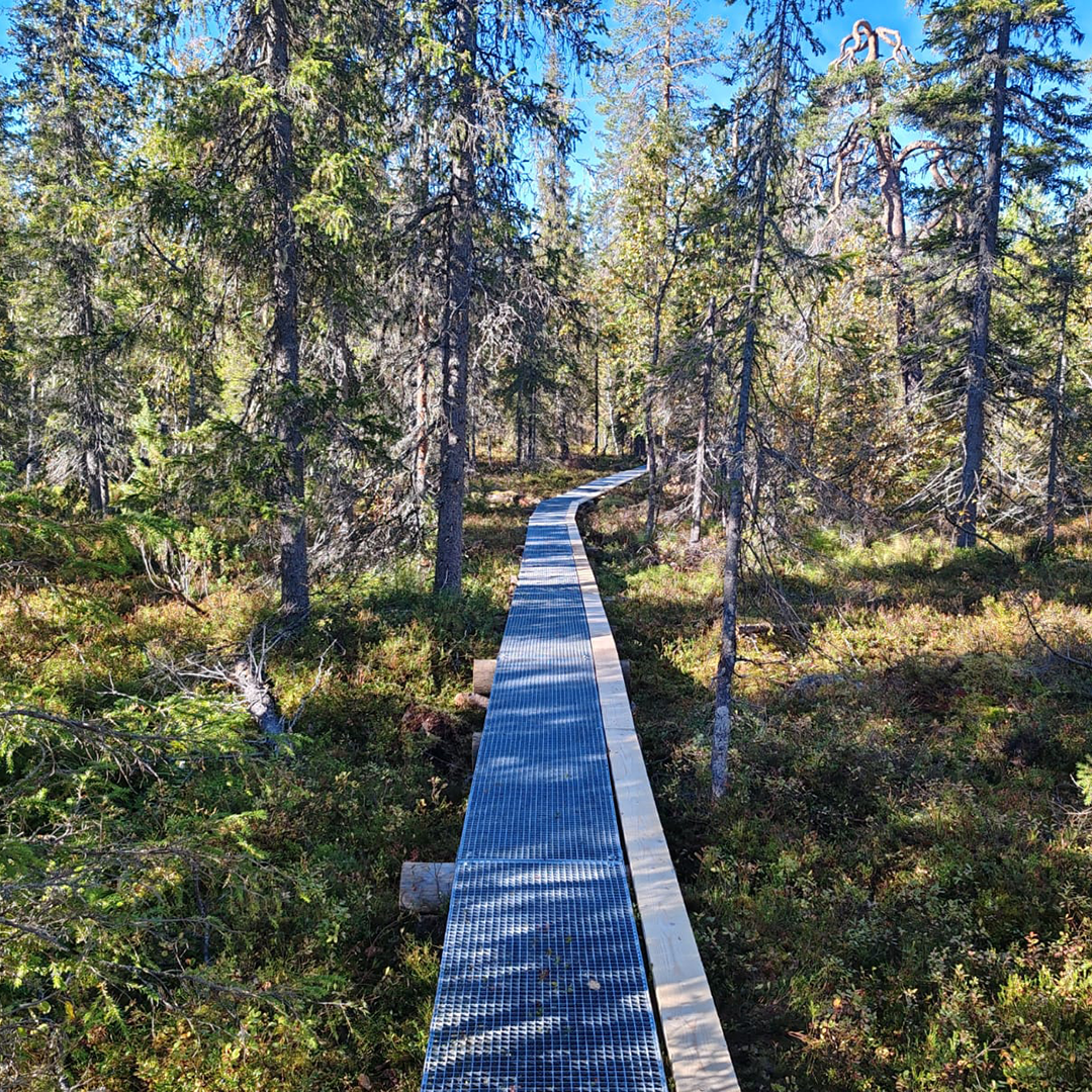 Kuva reitiltä. Reittiä kestävöitetään ja kunnostetaan kuvassa näkyvillä tukevilla rautaritilöillä.